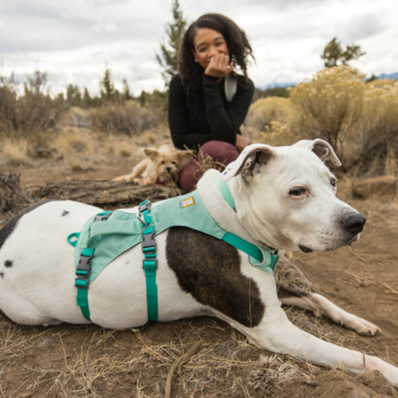 Ruffwear Flagline Harness - Sage Green-4